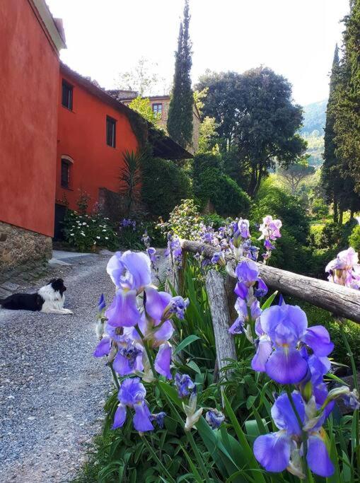דירות Buti Uno Spazio Di Relax In Toscana מראה חיצוני תמונה